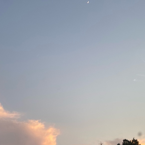 Meet your Posher, Addison - Picture 1 of 1